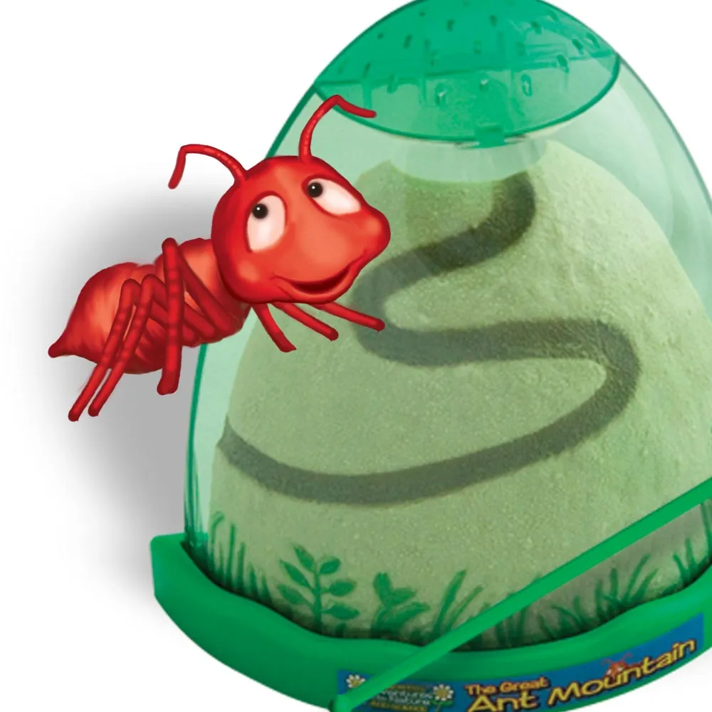 Ant Mountain