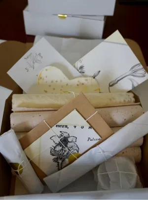 Art Therapy Nature Box