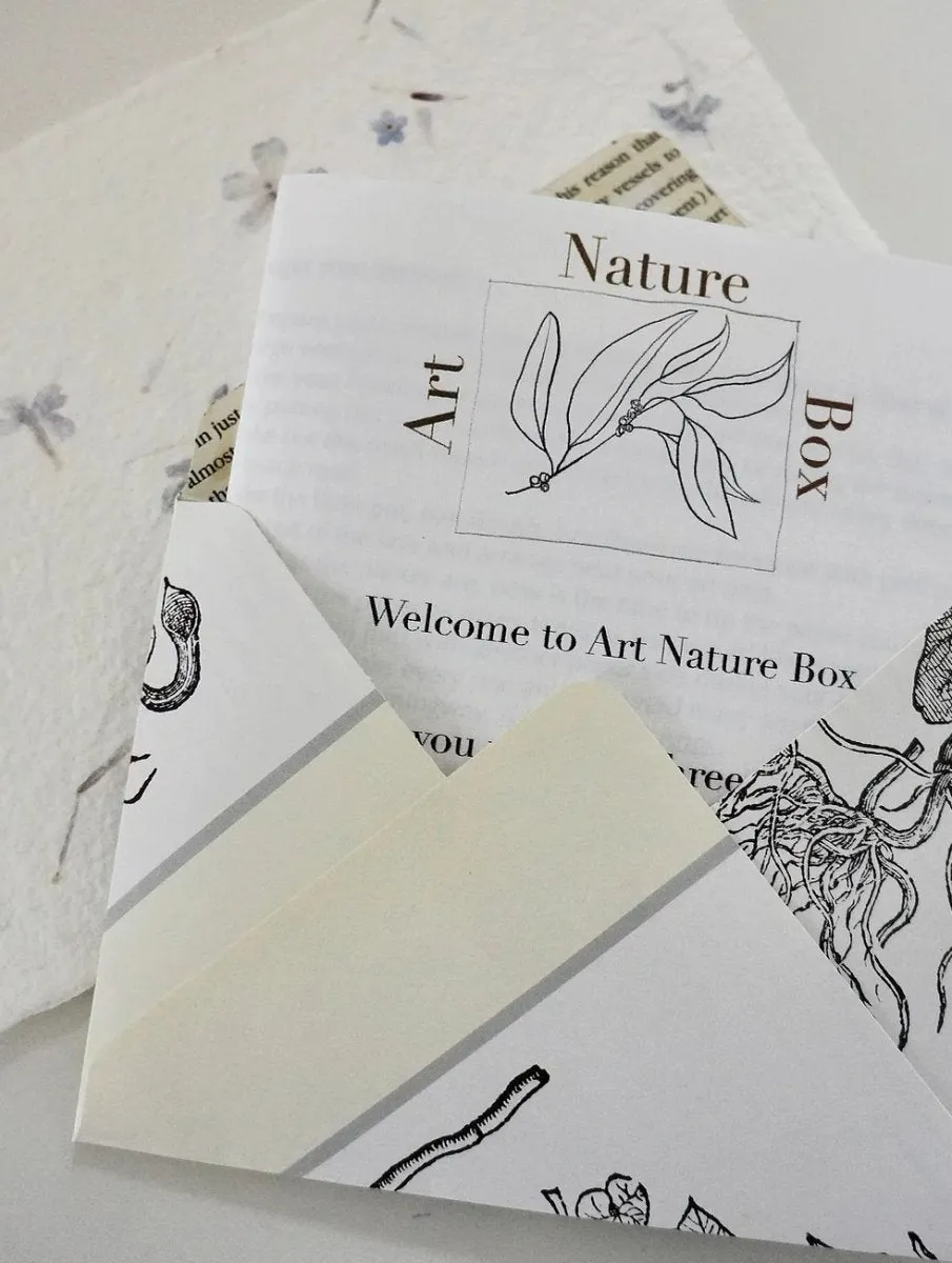 Art Therapy Nature Box