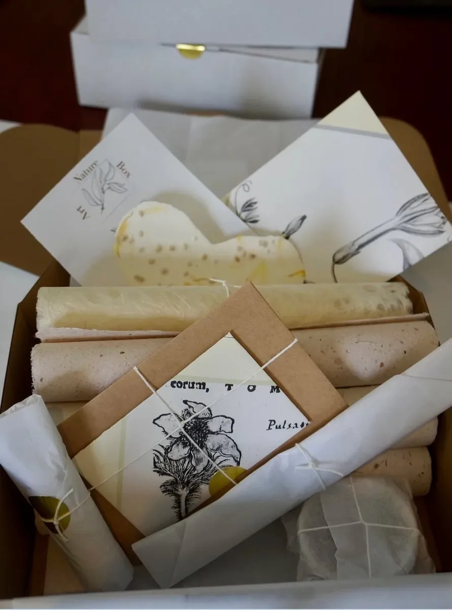 Art Therapy Nature Box