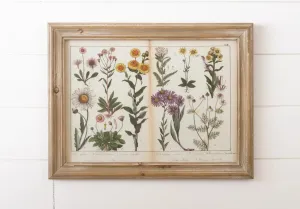 Botanical Book Page Framed Print