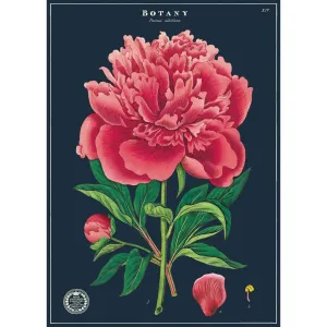 BOTANY WRAP