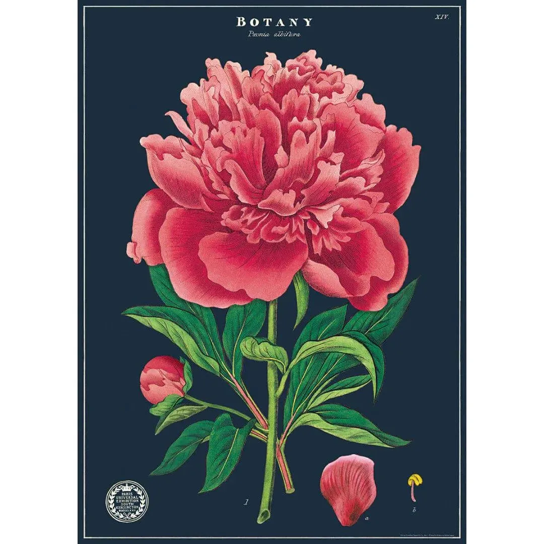 BOTANY WRAP