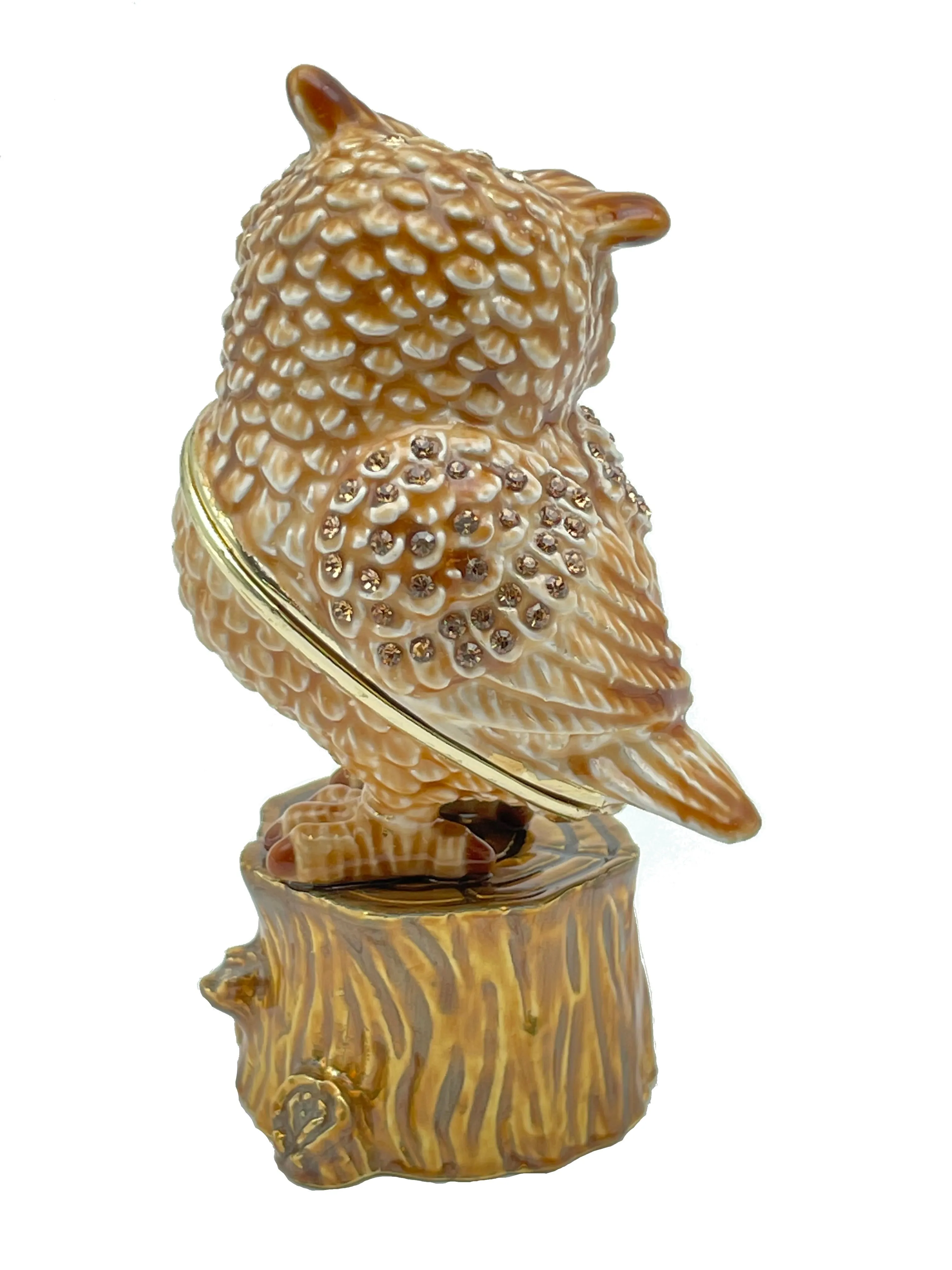 Brown Owl on a tree log