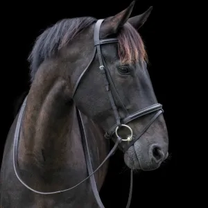 Cameo Equine Classic Padded Bridle Elegant & Versatile Complete w/ Rubber Reins