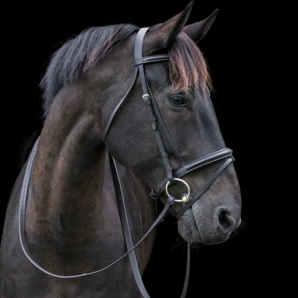 Cameo Equine Classic Padded Bridle Elegant & Versatile Complete w/ Rubber Reins