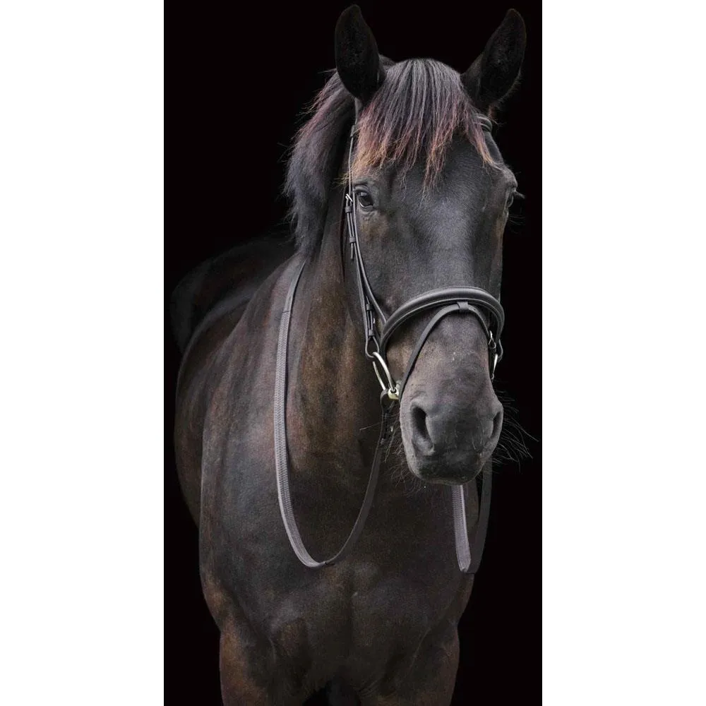 Cameo Equine Classic Padded Bridle Elegant & Versatile Complete w/ Rubber Reins