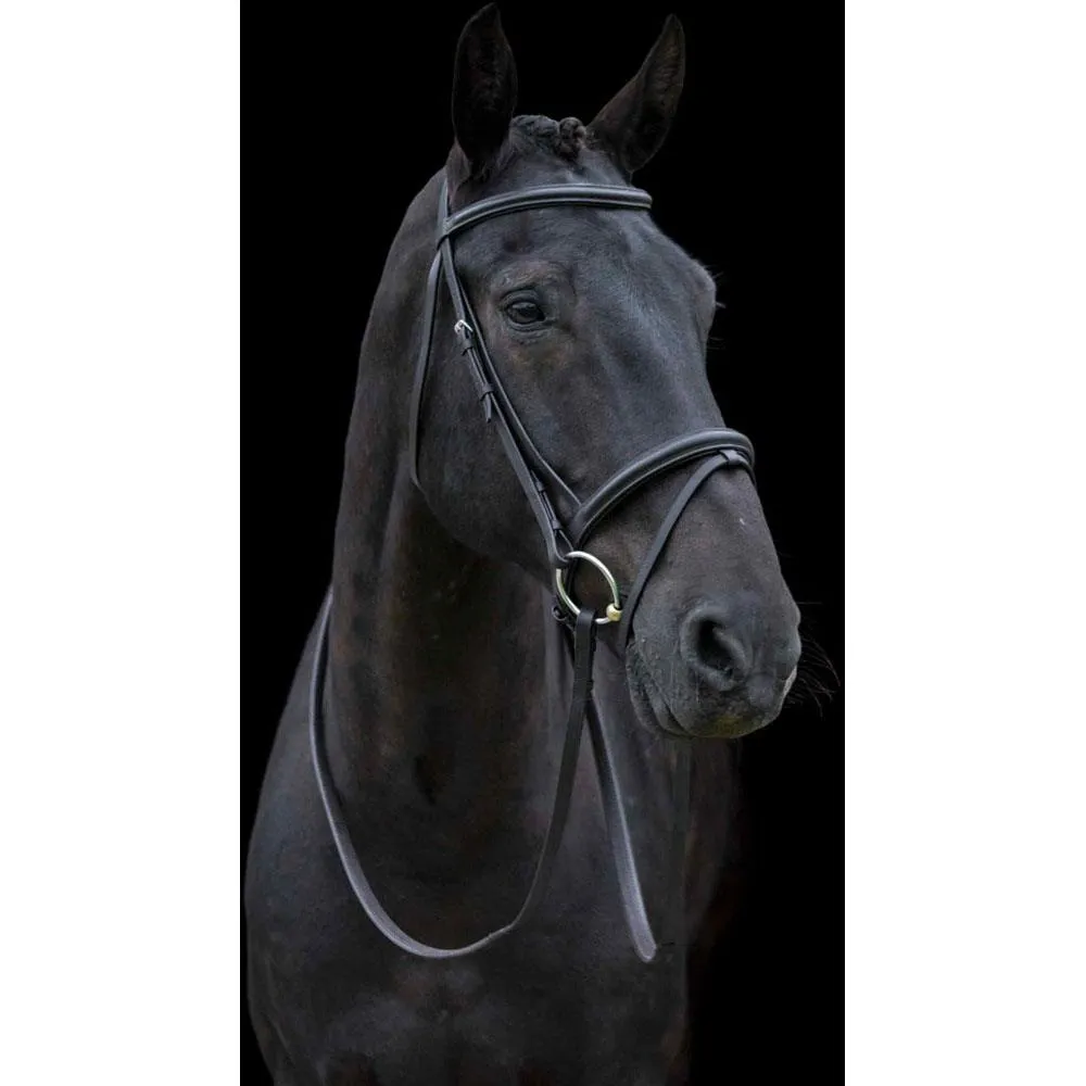 Cameo Equine Classic Padded Bridle Elegant & Versatile Complete w/ Rubber Reins