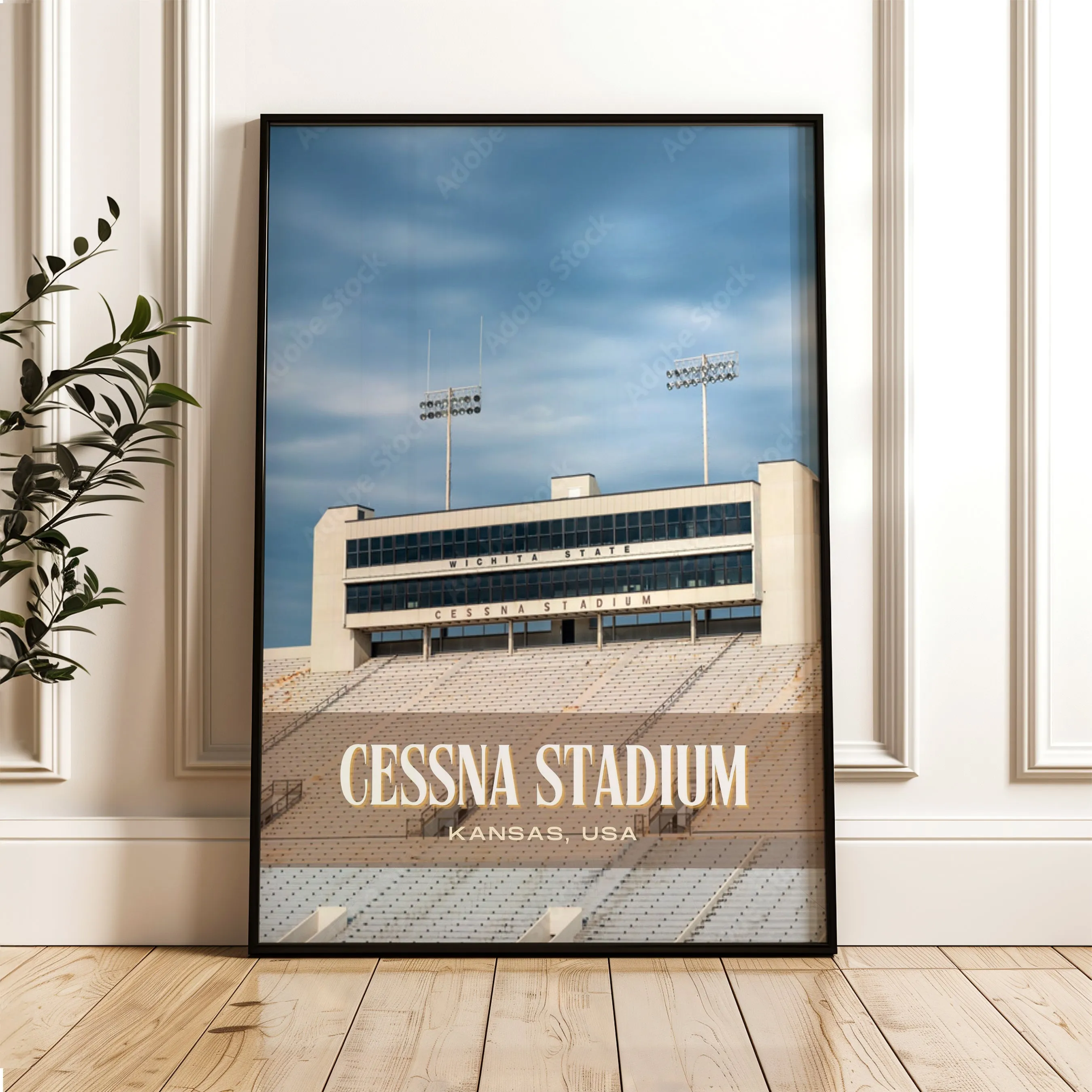 Cessna Stadium Football Wall Art
