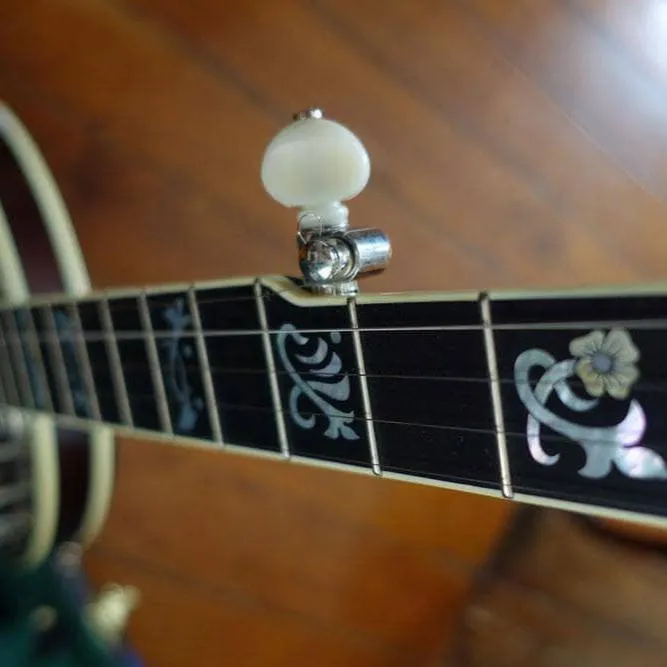 Deering Tenbrooks Saratoga Star with Kruger Tone Ring