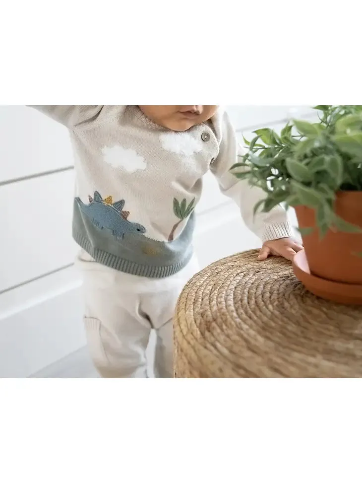 Dino Applique Button Pullover Sweater