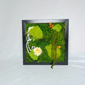Dream Forest | Moss Wall Art | Preserved Moss Art