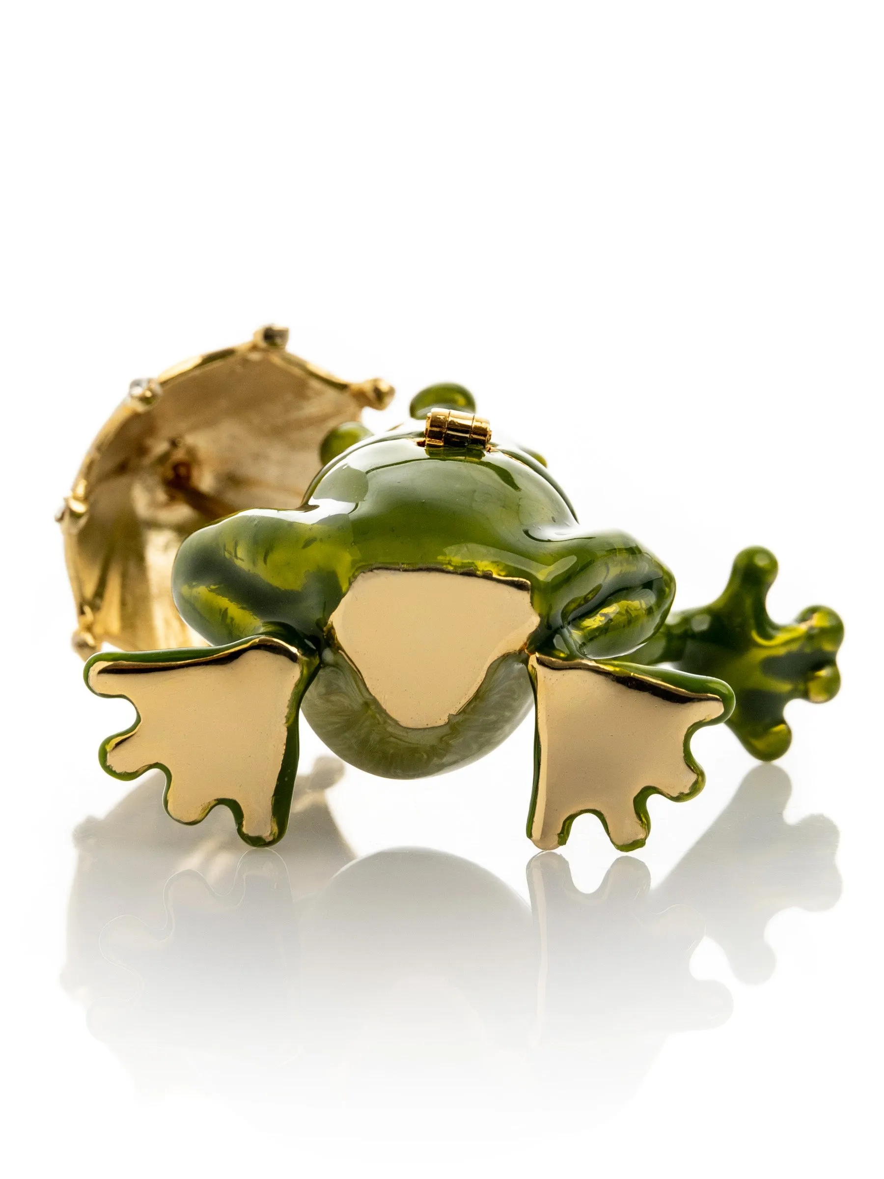 Frog holding an Umbrella