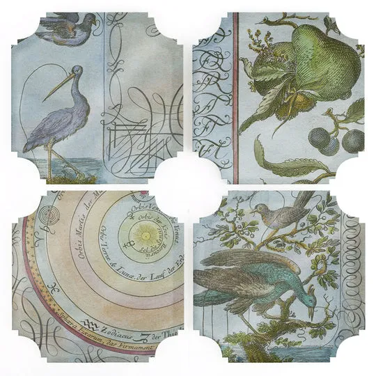 Georgian Style Acrylic Coaster Set