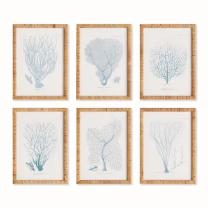 NAPA Home & Garden, SEA FAN AND CORAL STUDY IN BLUE, SET OF 6,N4NH23