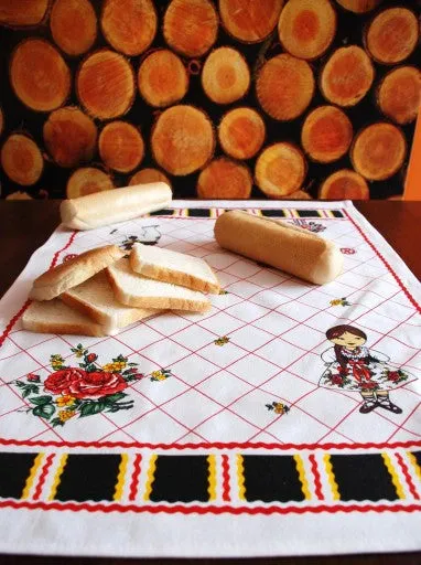 Polish Folk Art Set of 3 Kitchen Towels in Box (Highlanders)
