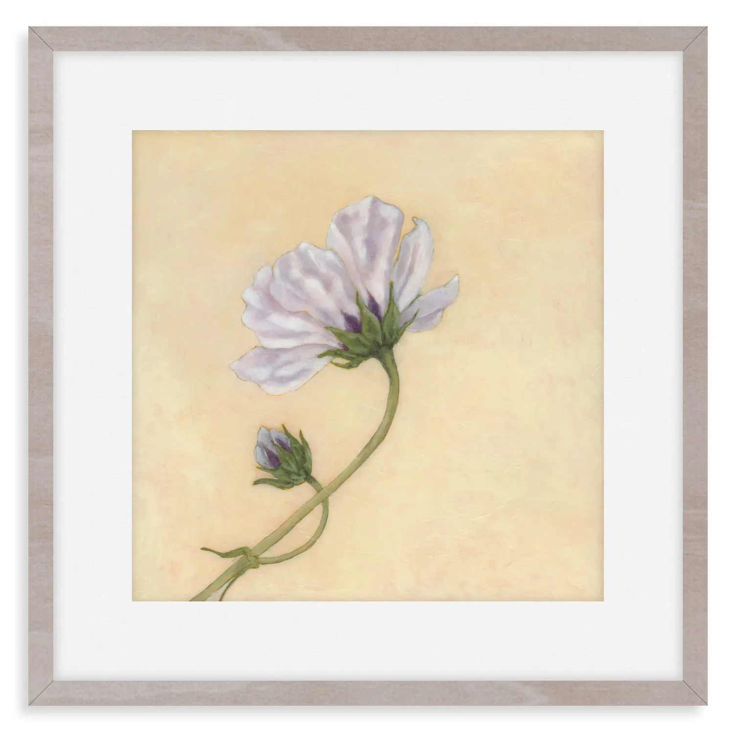 "Enrapture" Cosmo Flower Art Print