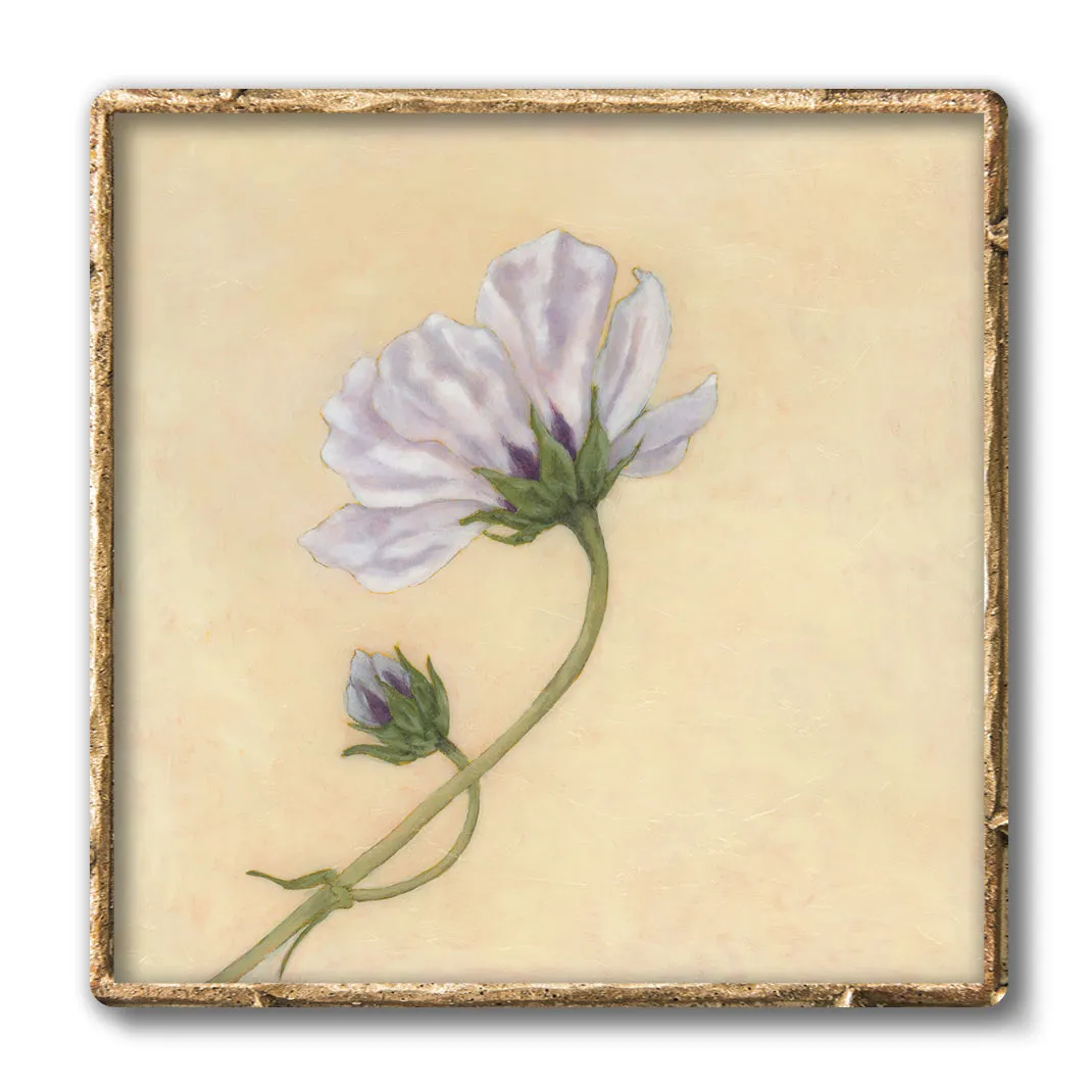 "Enrapture" Cosmo Flower Art Print