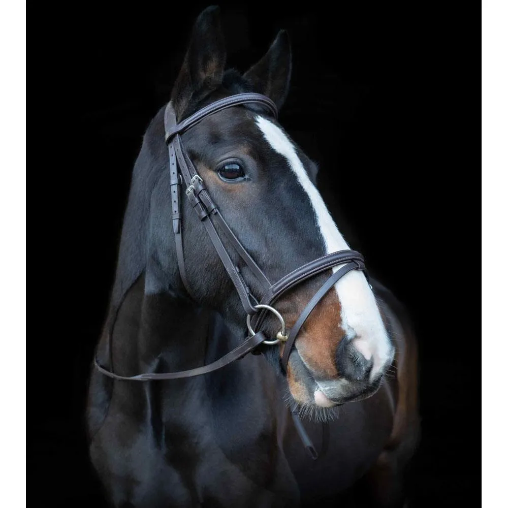 Raised & Padded Browband: Cameo Equine Anatomic Bridle with Flash