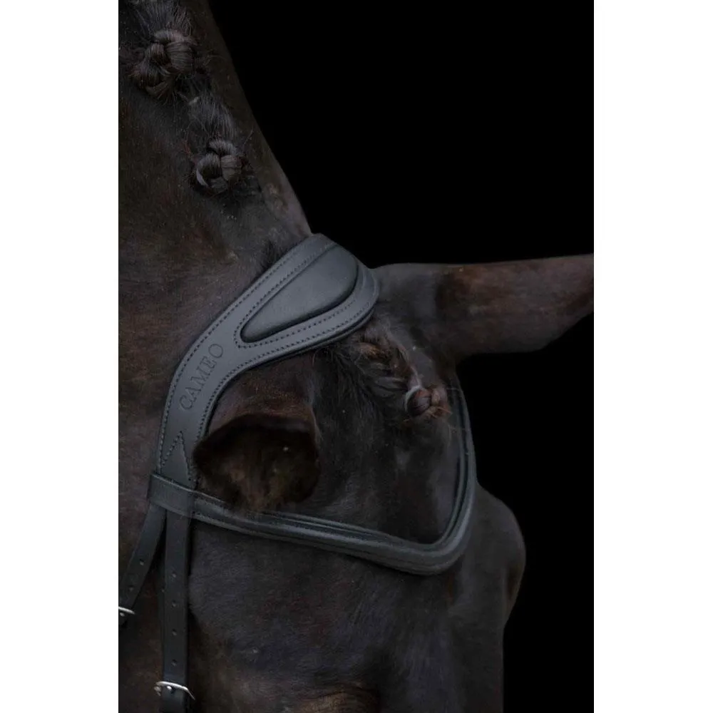 Raised & Padded Browband: Cameo Equine Anatomic Bridle with Flash