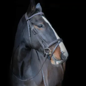 Raised & Padded Browband: Cameo Equine Anatomic Bridle with Flash