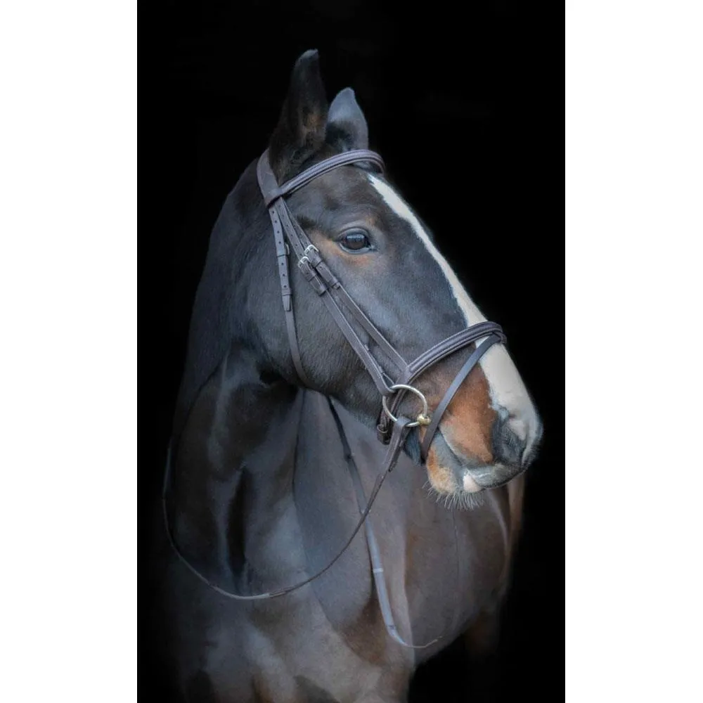 Raised & Padded Browband: Cameo Equine Anatomic Bridle with Flash