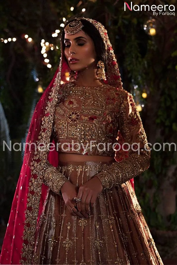 Rust Pakistani Bridal Silk Lehenga Choli Dress #BN138