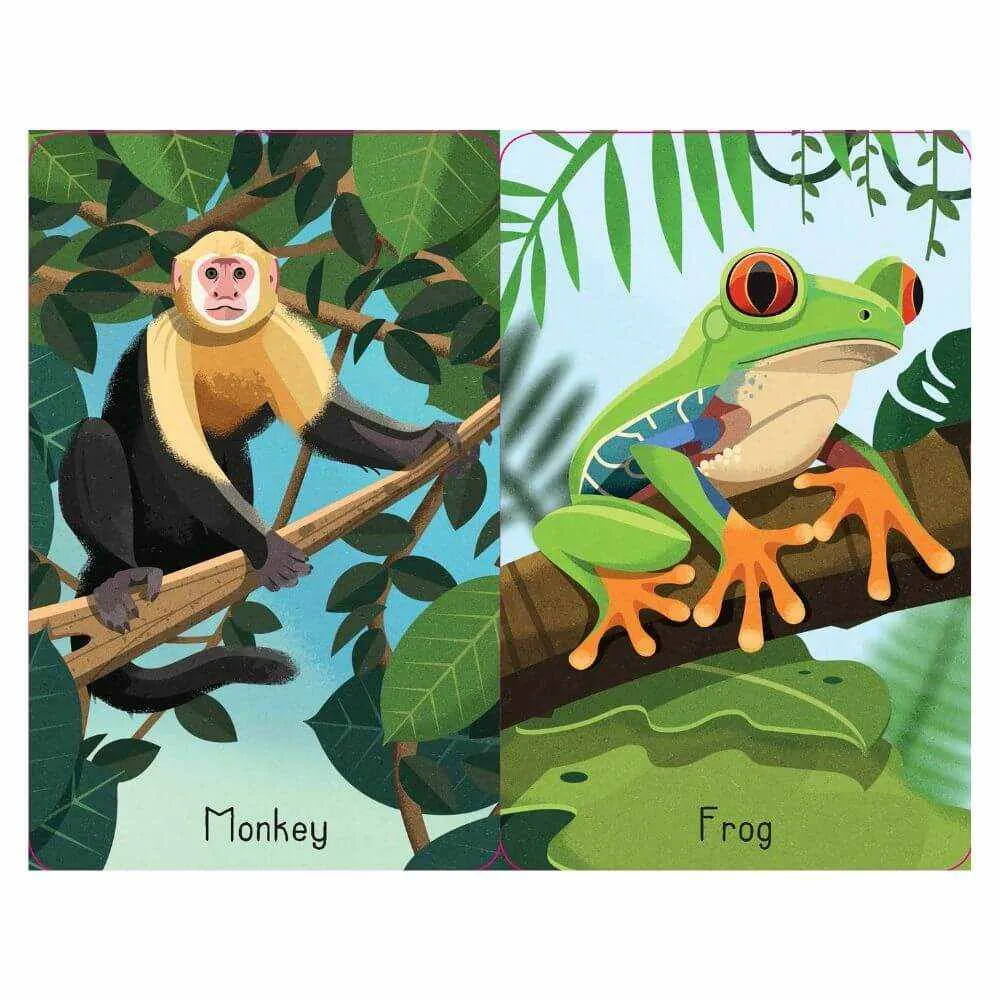 Usborne Jungle Snap Card Game