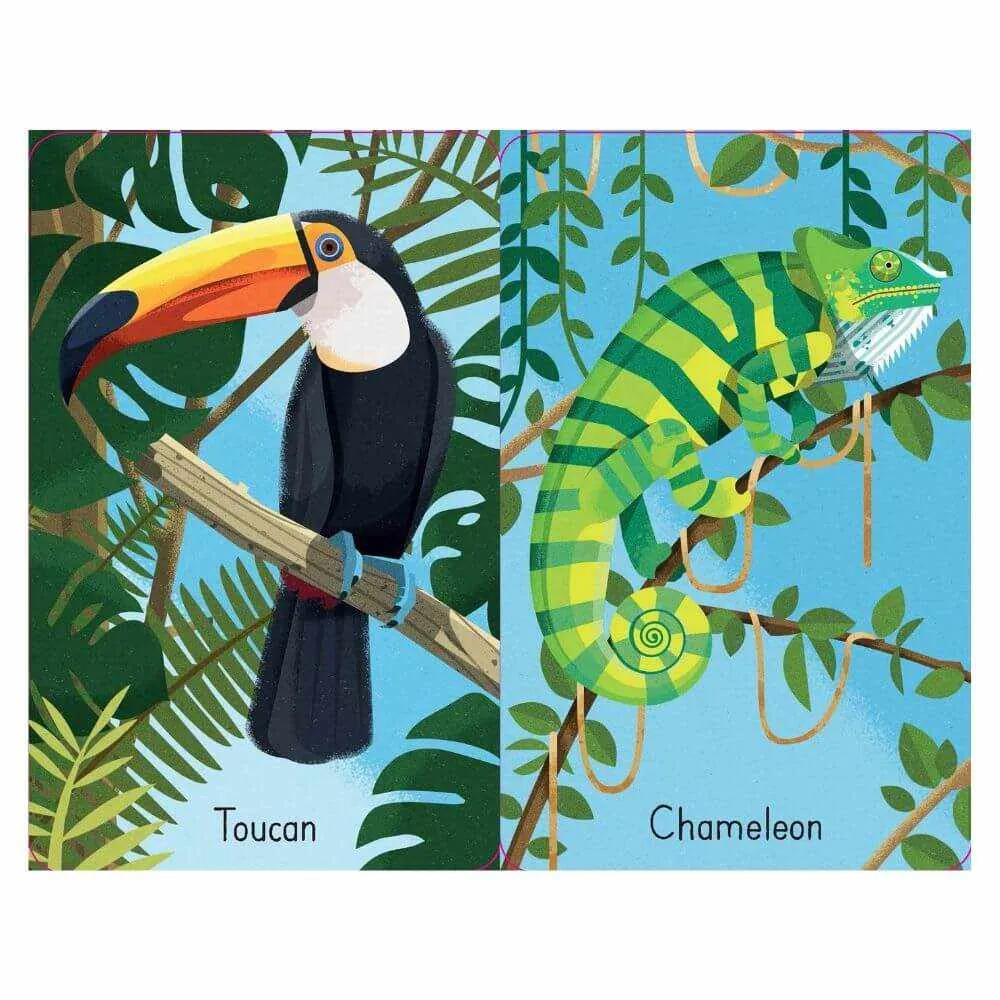 Usborne Jungle Snap Card Game