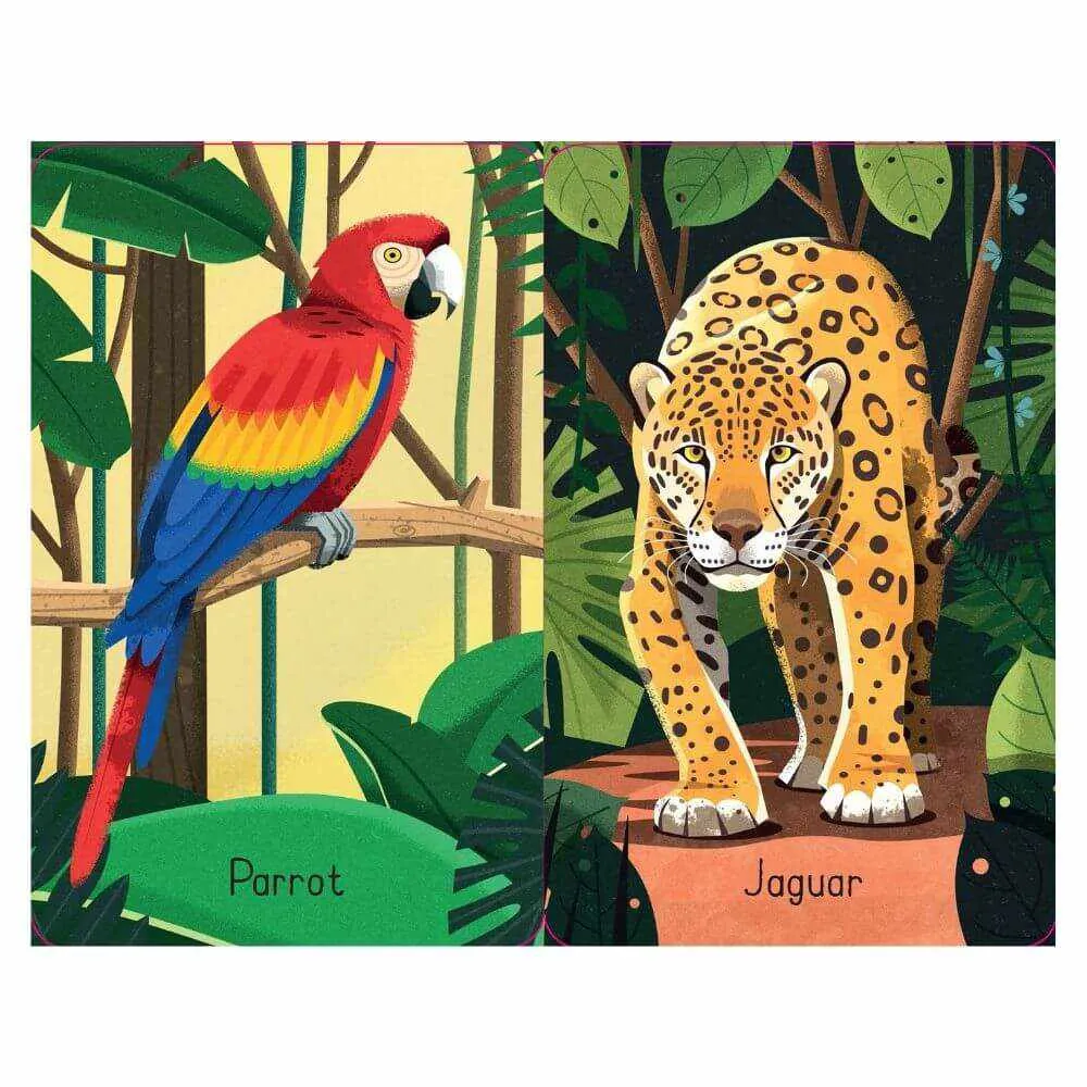 Usborne Jungle Snap Card Game